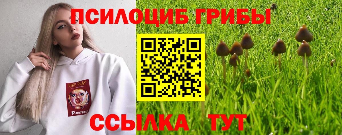 Галлюциногенные грибы Psilocybine cubensis  Вход с VPN  Саянск 