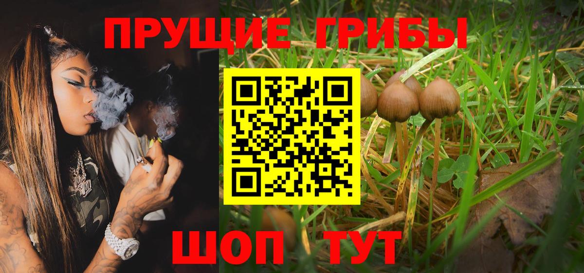 Галлюциногенные грибы Magic Shrooms Саянск